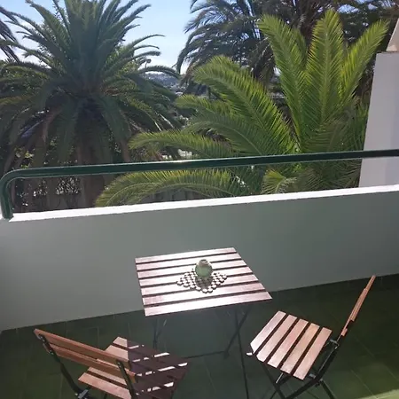 Surycan Tropical Garden * Playa del Ingles (Gran Canaria)